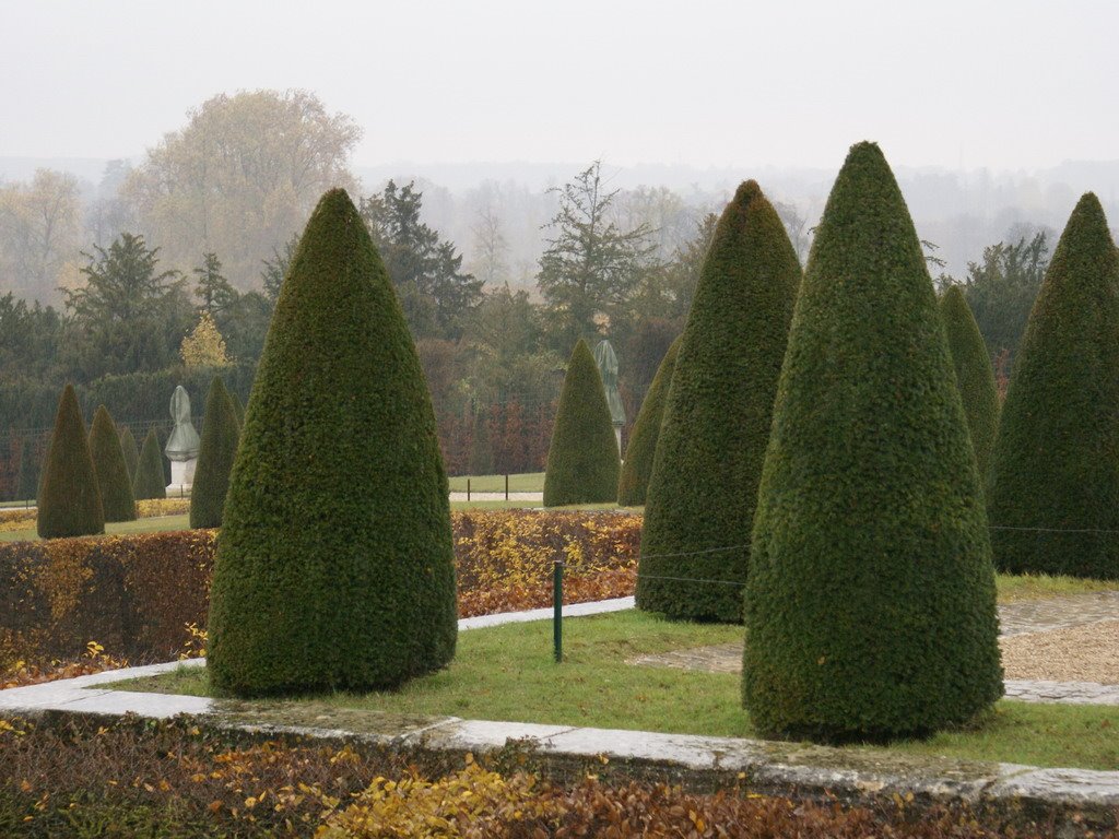 Gardens of Versailles by Emre Zaim