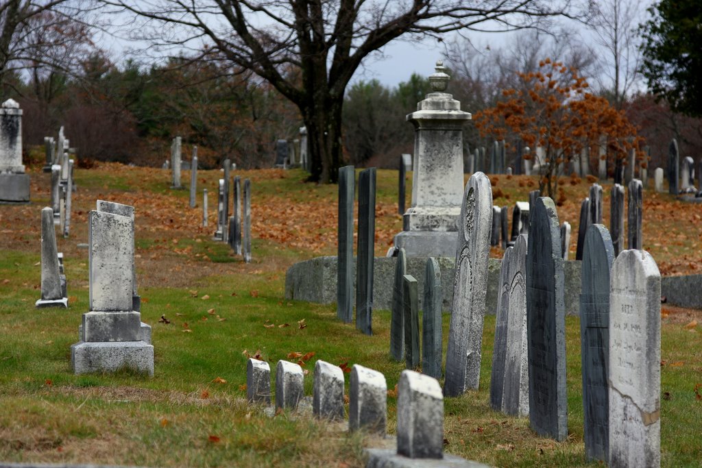 Westlawn Cemetery by Van Ton