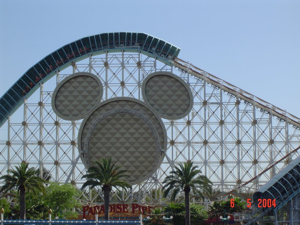 Anaheim Resort, Anaheim, CA, USA by jorge humberto carbe…