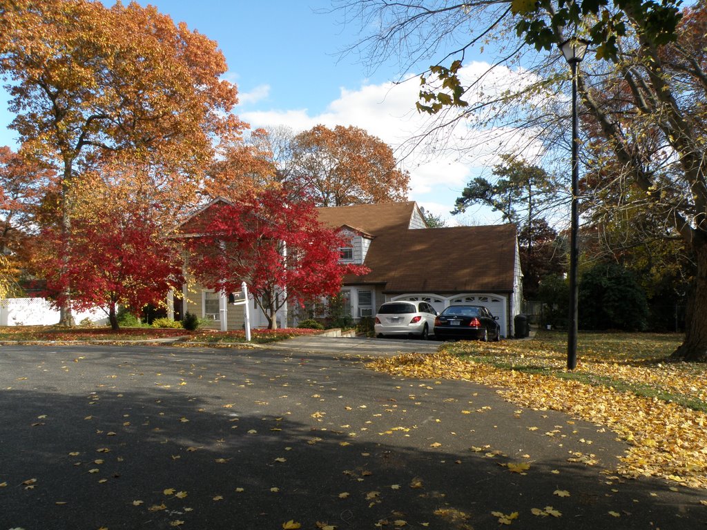 A House In FarmingVille Long Island , New York . by MrNAASSIR