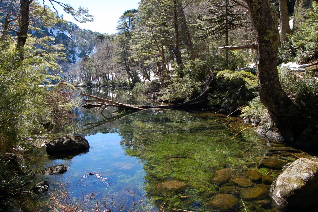 Parque nac. Huerquehue, Chile by Jose Miguel Calvo L.