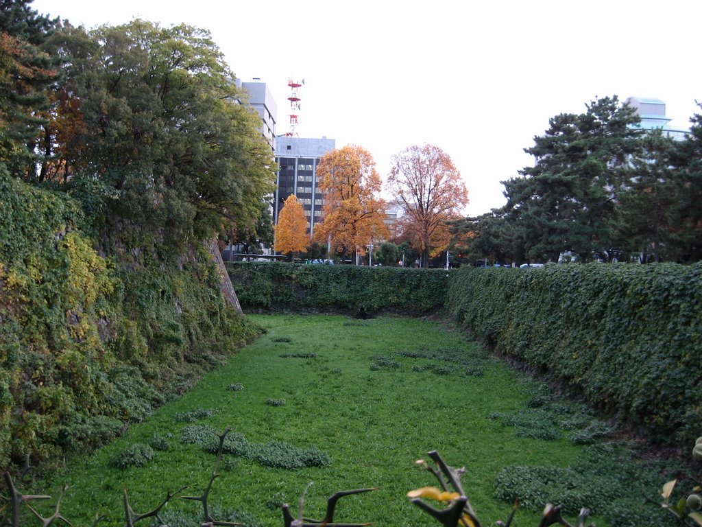 名古屋城の空堀　Nagoya Castle by F.Y.