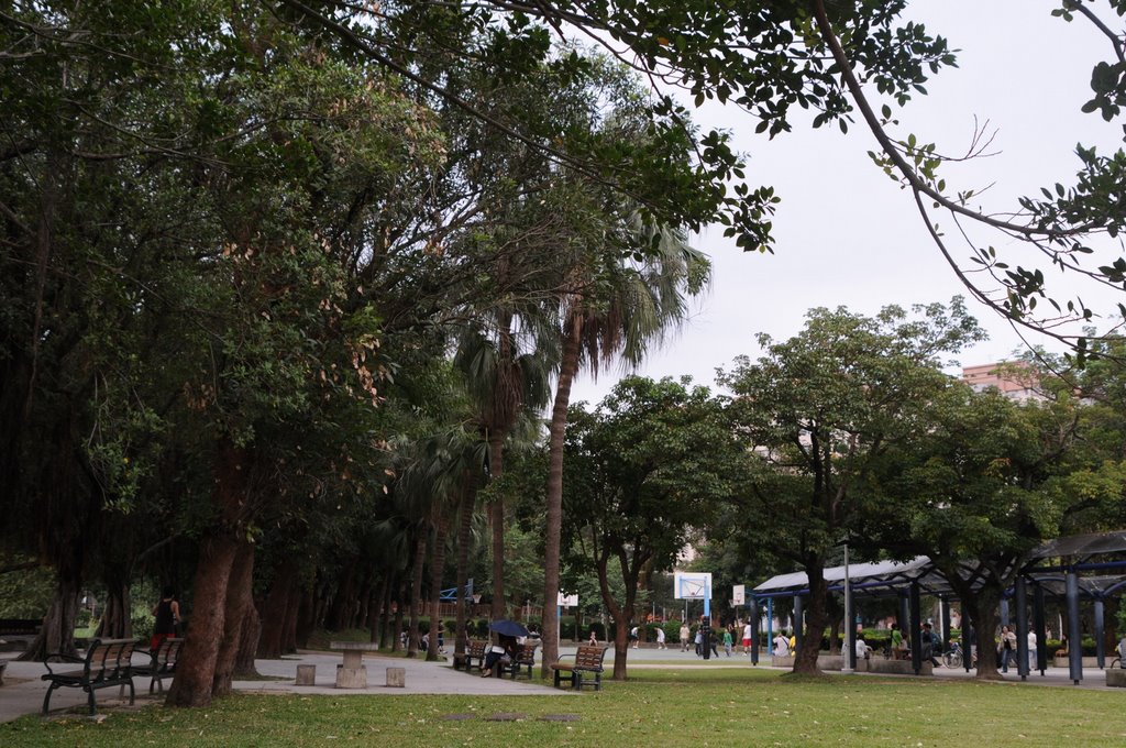 Ｒongxing Park, TAIPEI by olivedom