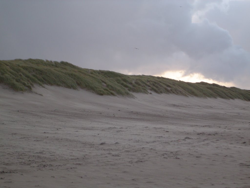 Sand dunes near Oostkapelle, Netherlands by Marija Kovacevic