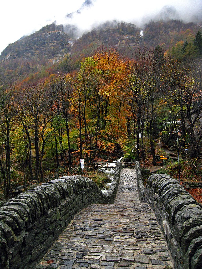 On Ponte dei Salti by Carmel Horowitz