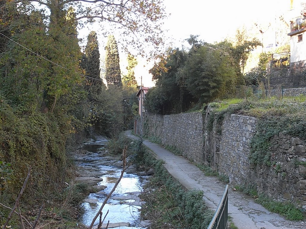 Rio Gentile, Camogli by Dria Bozo