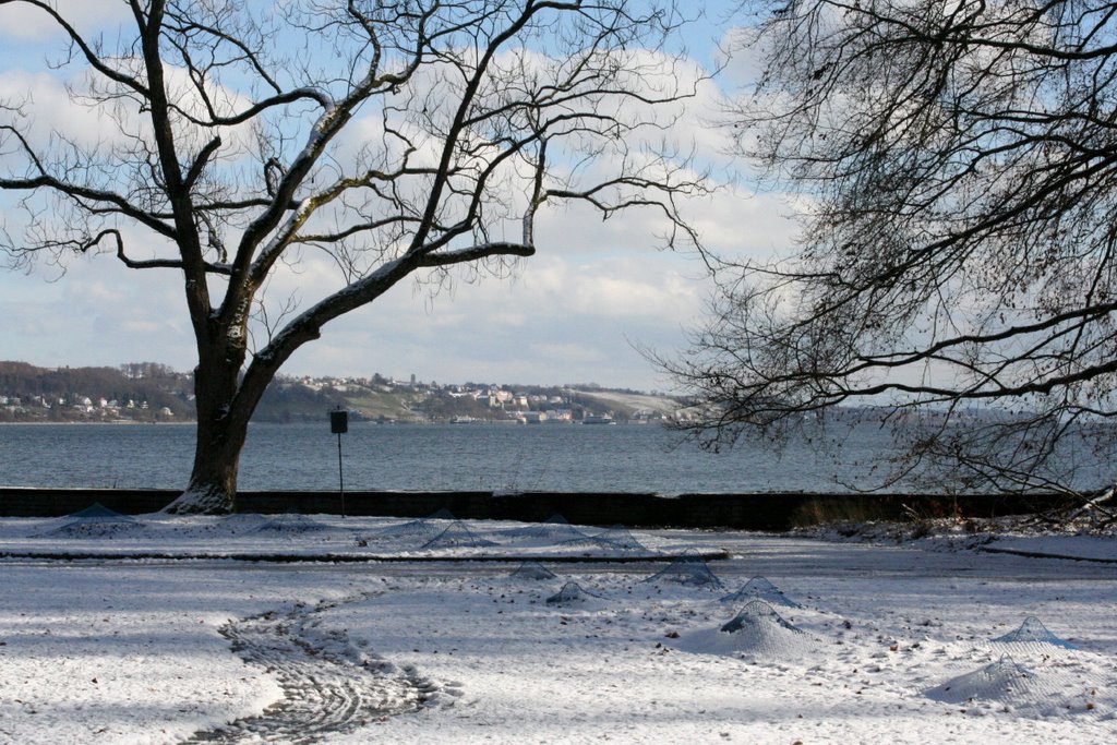 Meersburg von der Mainau aus by aurelia.a