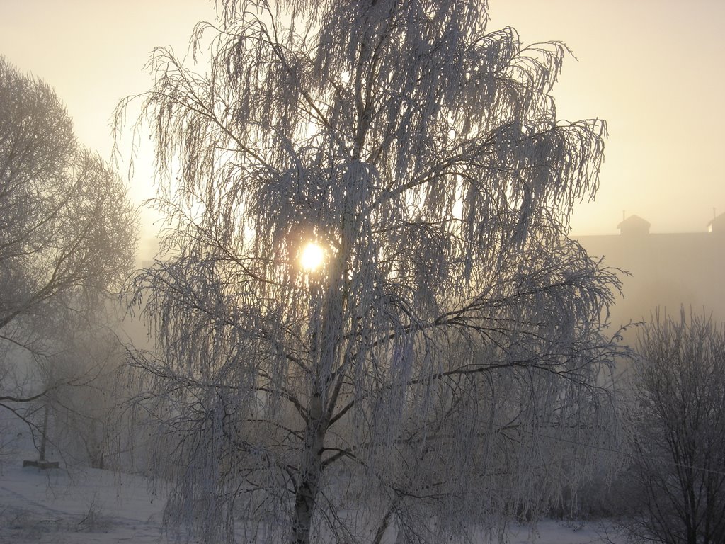 Морозное утро by Князев Евгений