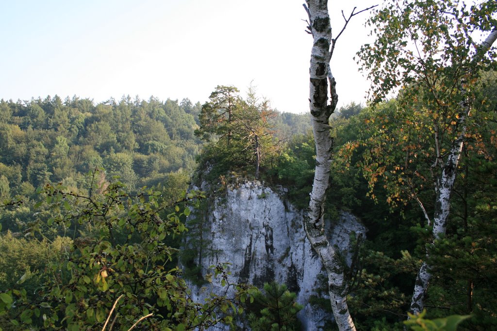 Widok ze skał Wernyhory by d2jmr