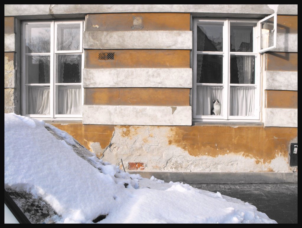 Pierwszy śnieg. :) First snow by jadransko