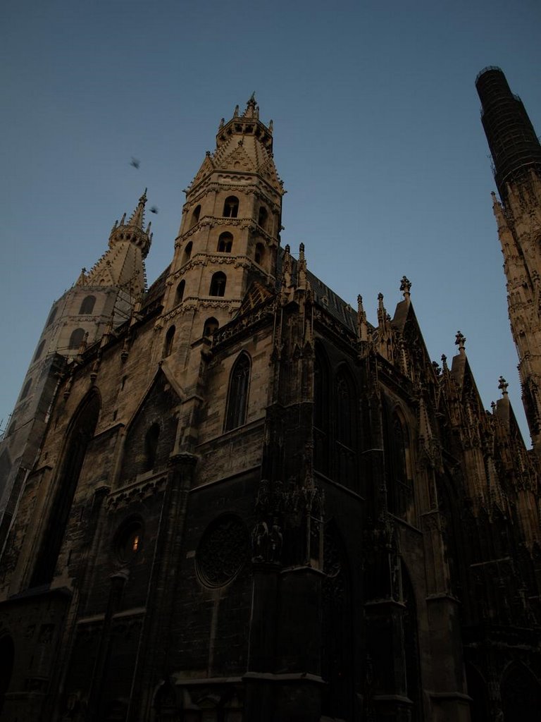 Vienna - Stephans Dom by yoshipin