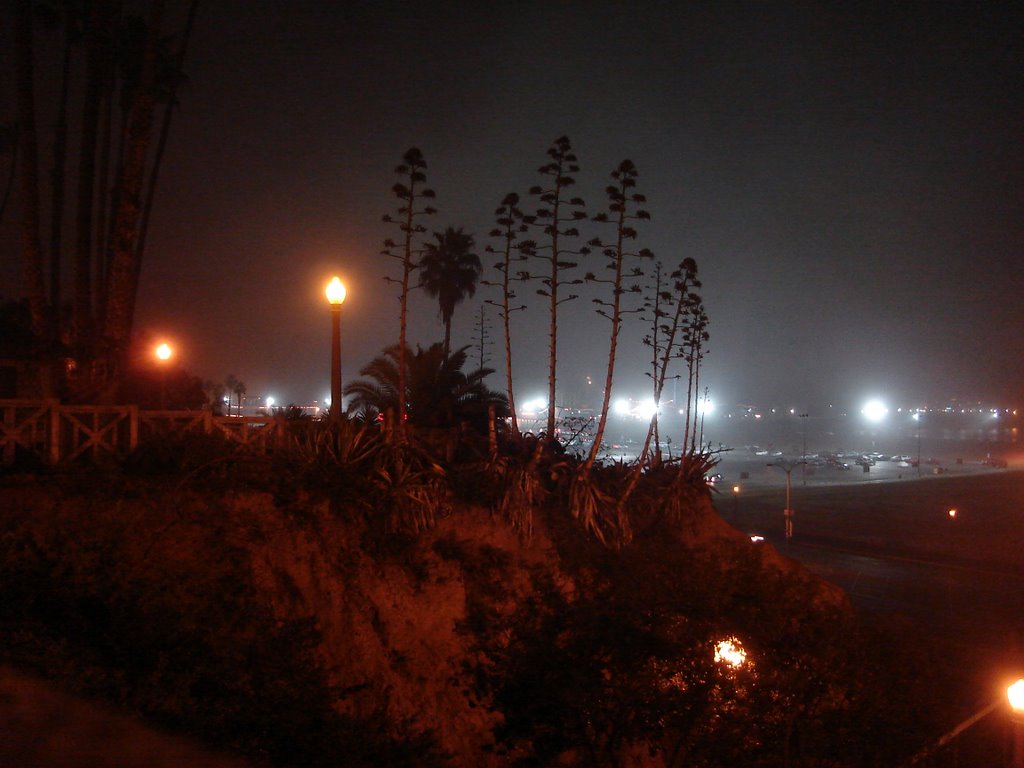 Foggy Night in Santa Monica by dwdeclare