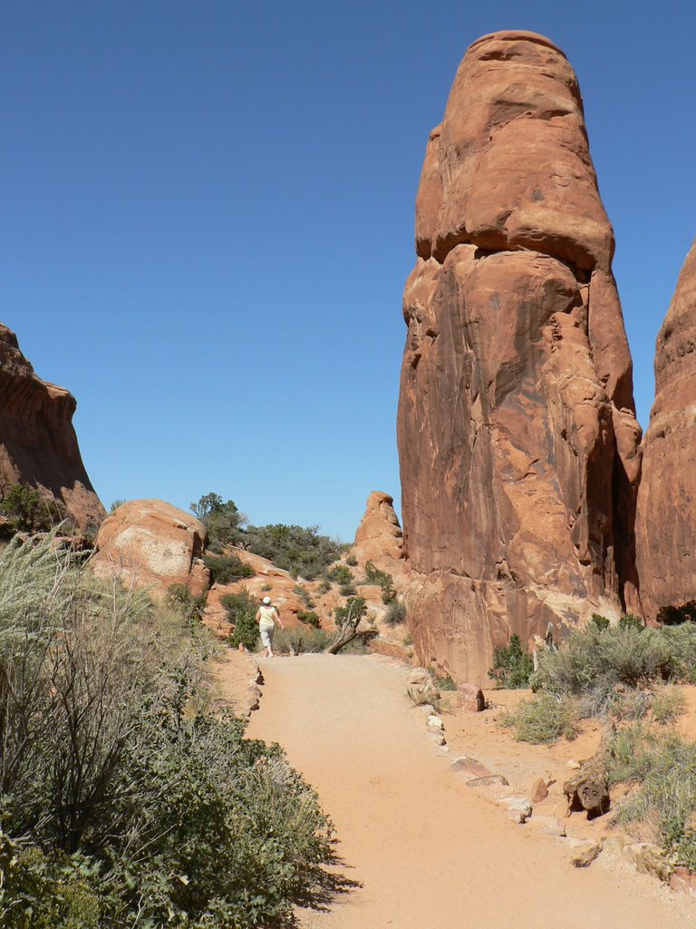 Arches park, shameless stone by mip44