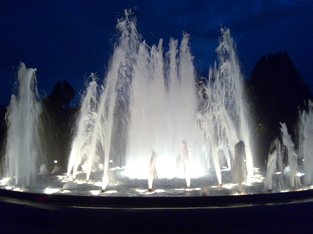 Amalienborg Fountain by Adriaticheart