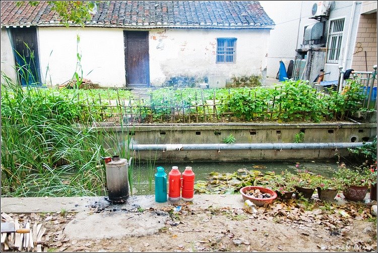 Chongming, Shanghai, China by Shi Xiaofeng