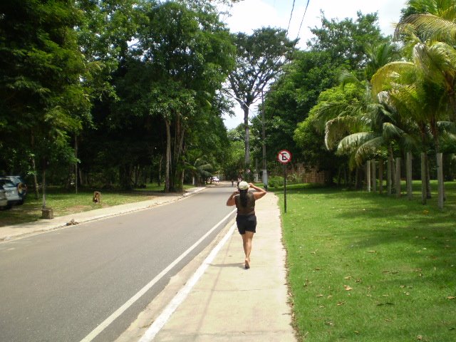 Rua do Paraíso by Francisco Magalhães …