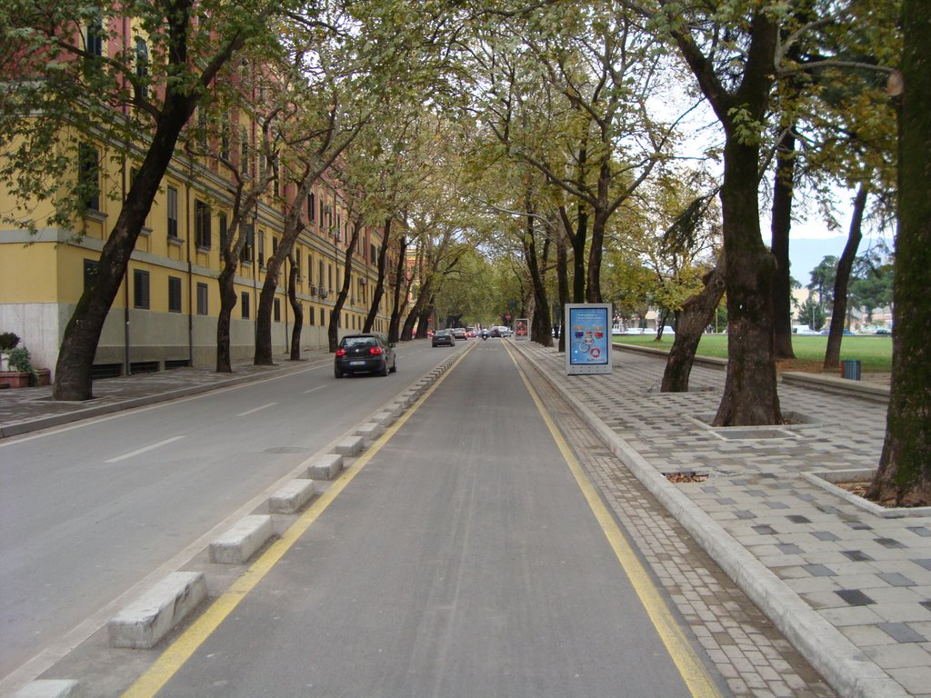 Tirana, Bus lane by goldenboy883