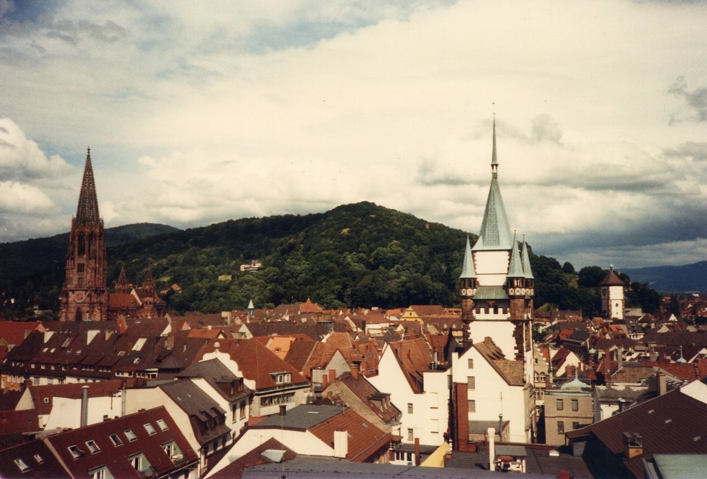 View from Albert Ludwigs University tower by glatt