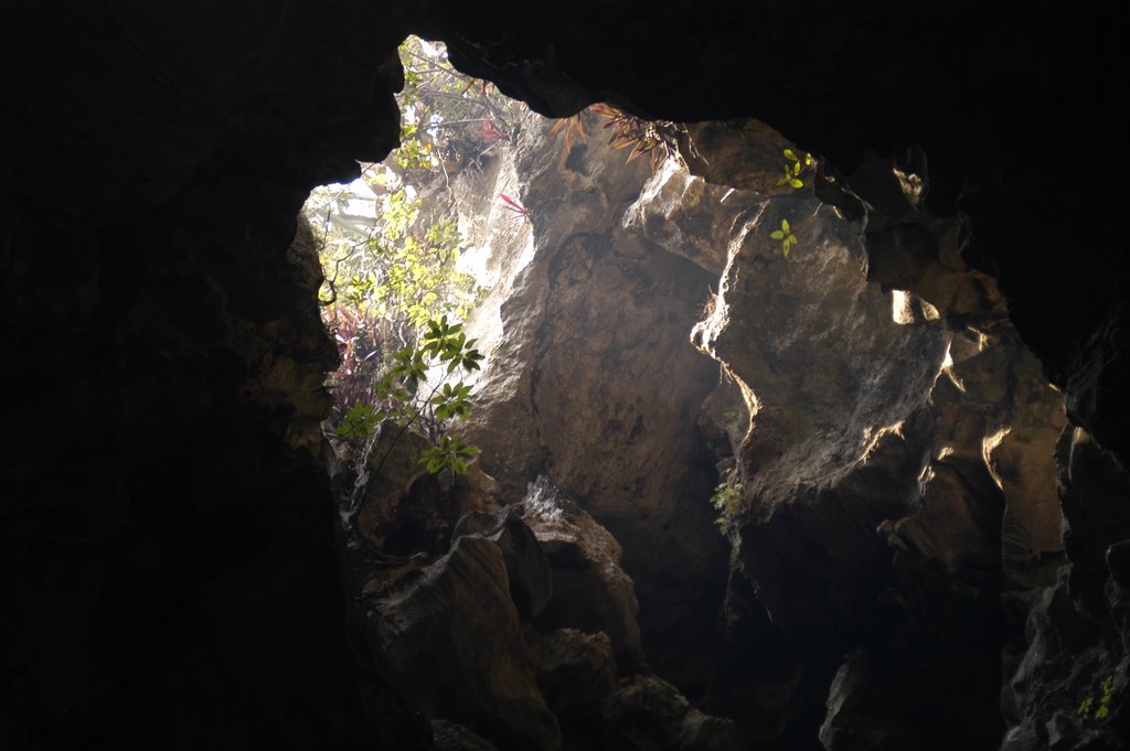 Hole came from american granate, cave was a VietCong hospital by NicolasGaube