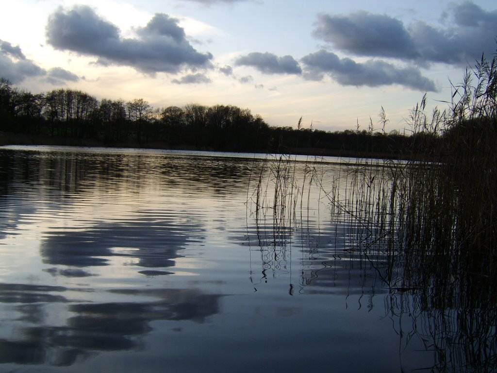 The pool, Little Budworth by Bigdutchman