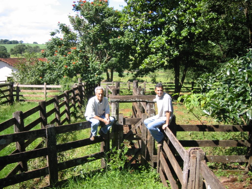 Tronco Fazenda Perobas, Uberaba,MG by fvfilho