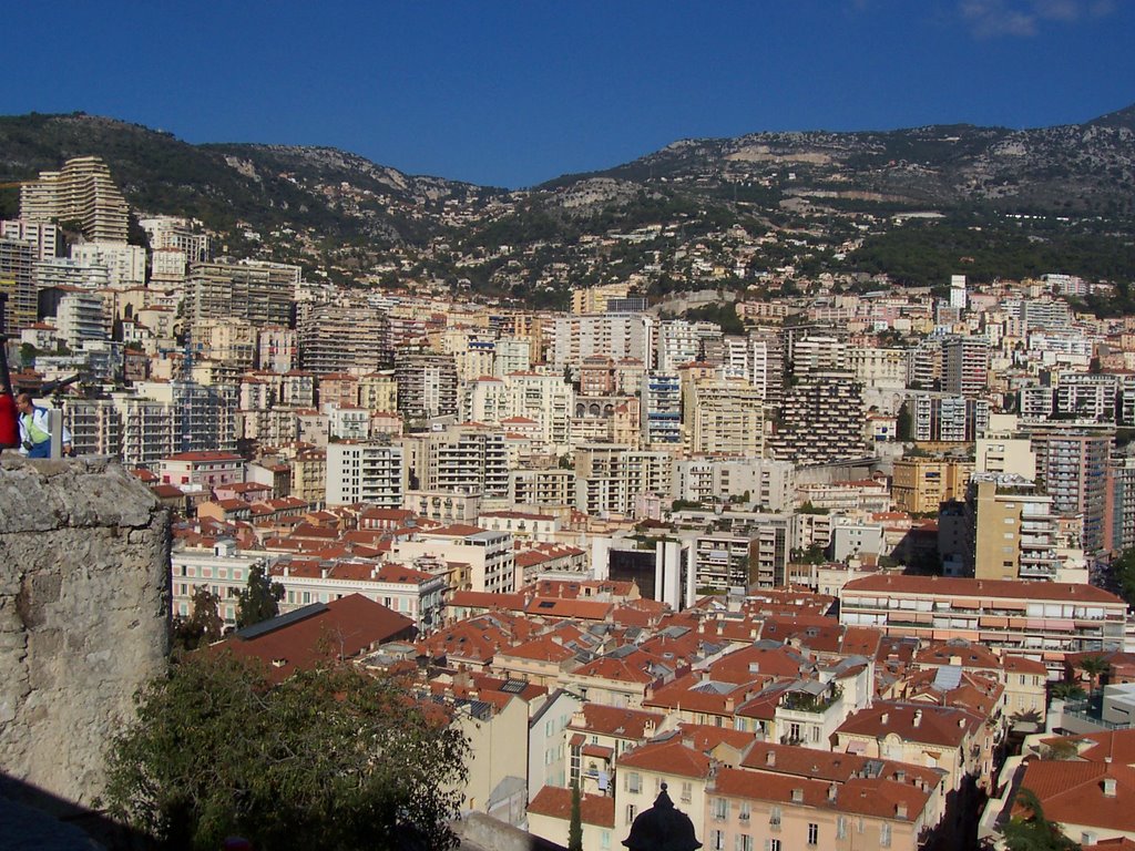 Panorama Monte Carlo by Emil Onaca