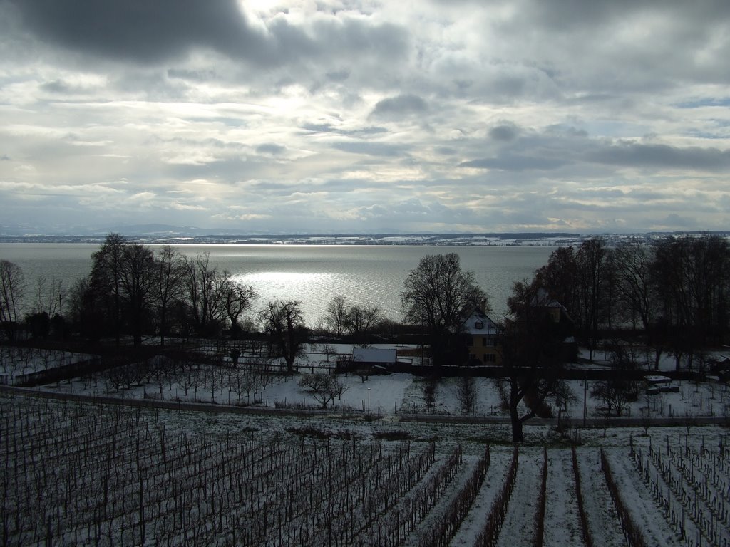 Schnee am See by Jürgen Kummer