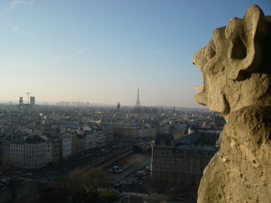 Views from Notre Dame, París by pekeramio