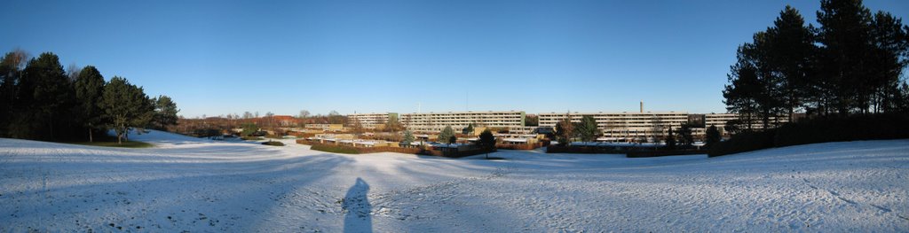 Langebjerg i Nærum, vinter, panorama by jesfab