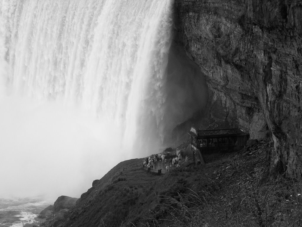 The Falls by Jeff Forrester