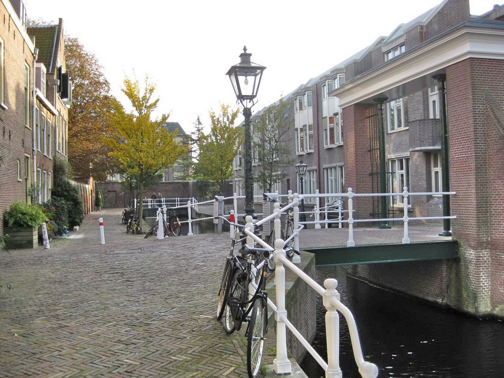 Đường phố Leiden - Street in Leiden by Trung Đức