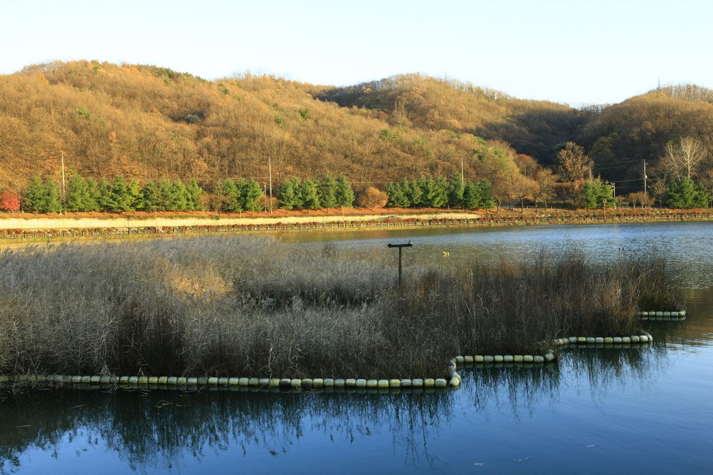 Yuldong Park 율동공원 데크 및 갈대밭 by Korea Tourism Organization