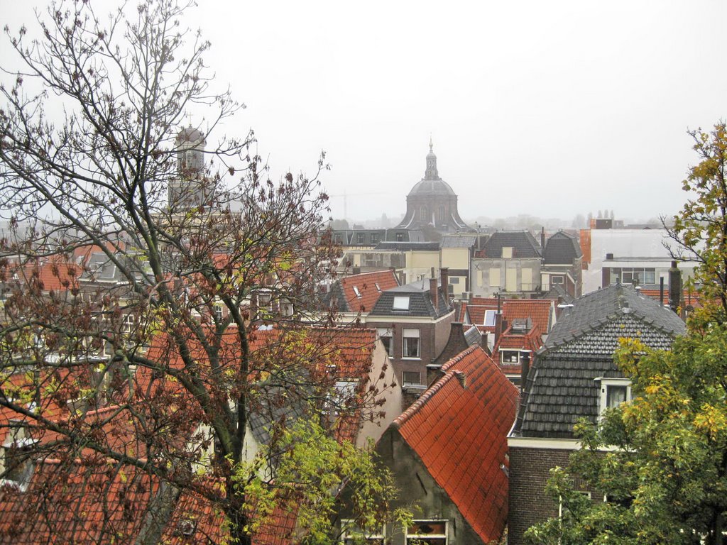 Thành phố Leiden nhìn từ lâu đài Leiden - Leiden viewed from Leiden castle by Trung Đức