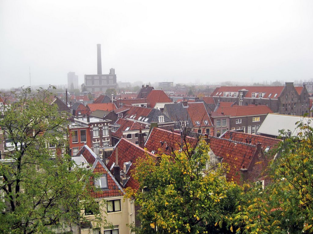 Thành phố Leiden nhìn từ lâu đài Leiden - Leiden viewed from Leiden castle by Trung Đức