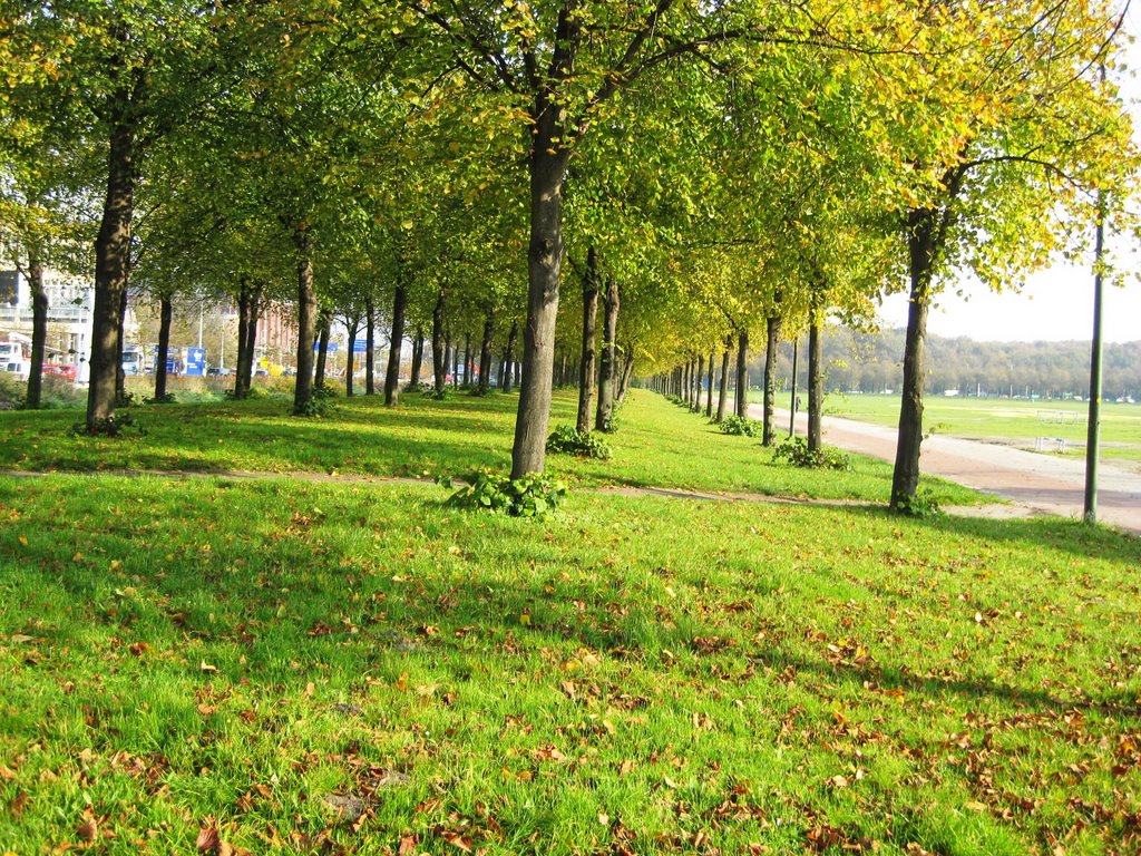 Đường phố Den Haag - Streets in Den Haag by Earth_Walker