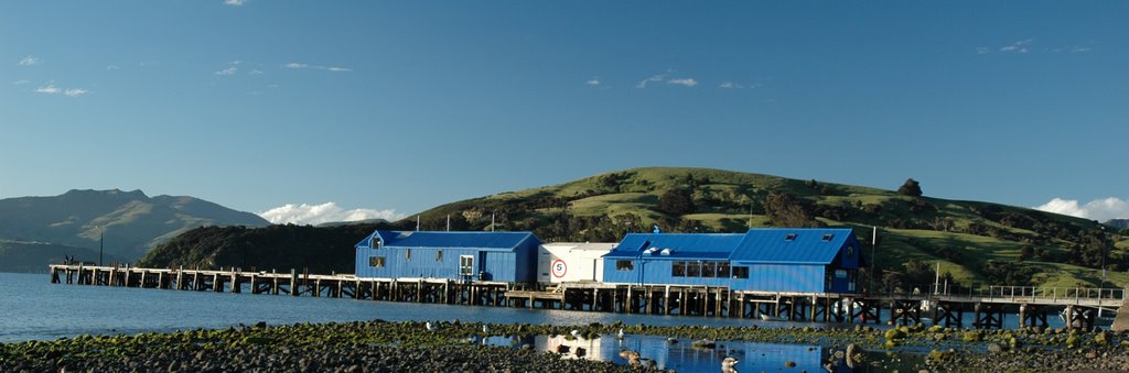 Akaroa Pier by beccles131