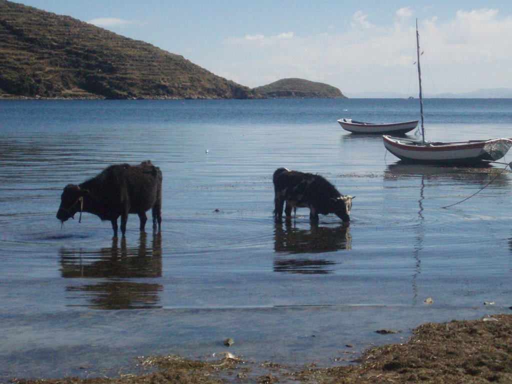 OC-Isla del Sol, Lago Titicaca by Osvaldo Colman