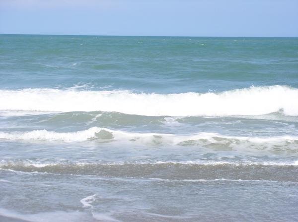 Florida Ocean by R. Edwards Photograp…