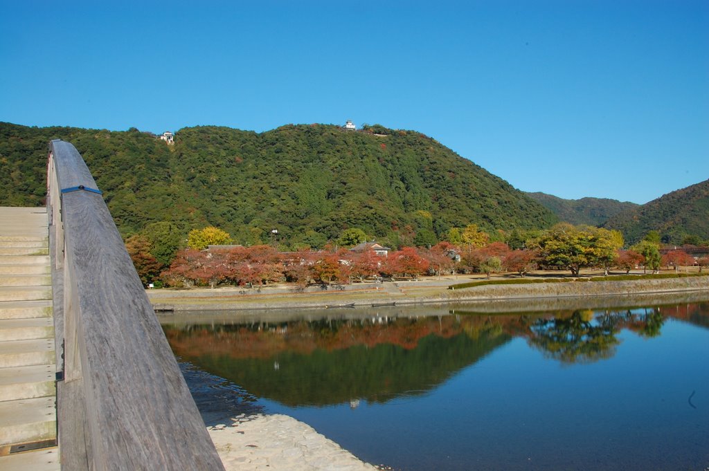 Iwakuni　Kintaikyo by kintai hiroshi