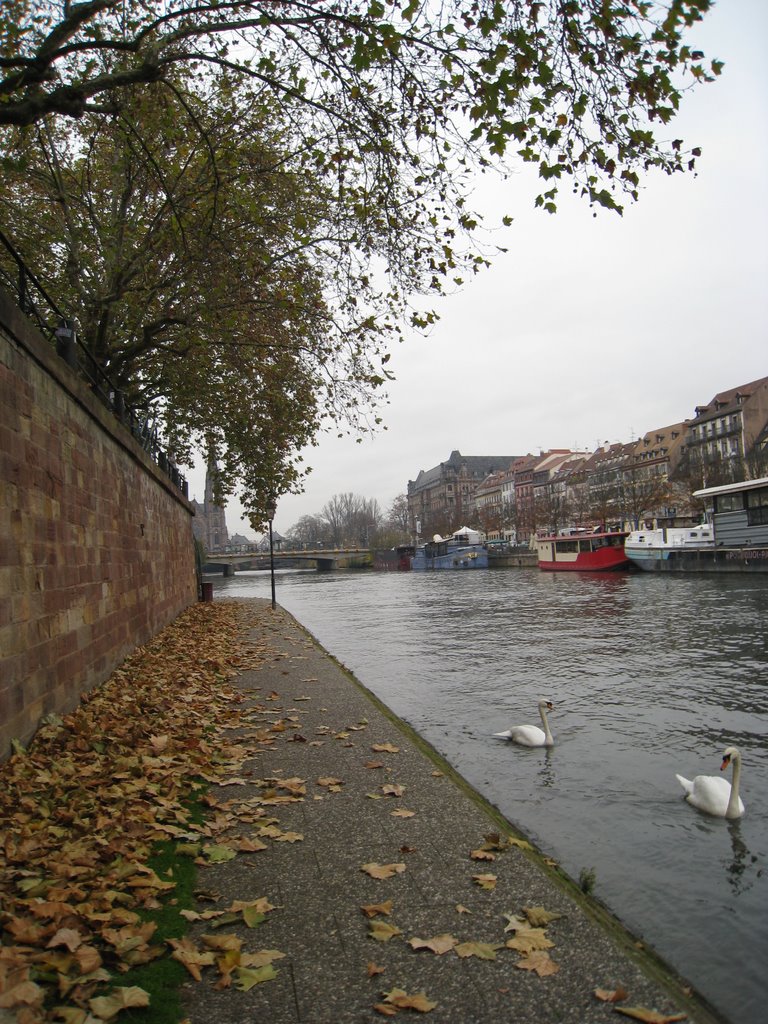 L'automne sur les quais ... by Clasou