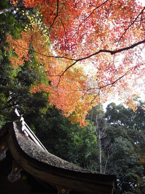 Kamigamo Shrine by THE-O