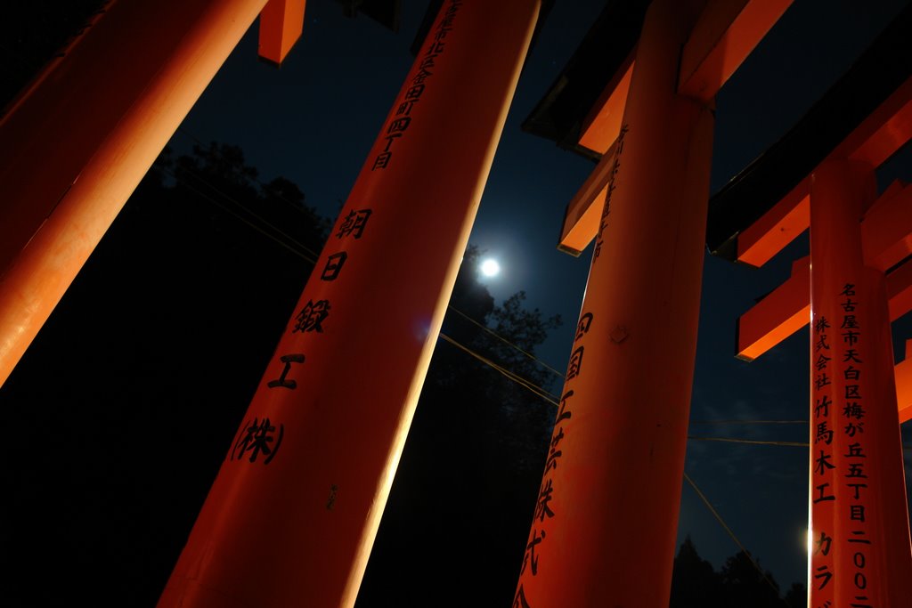 Fushimi Inari by cucurrucucu