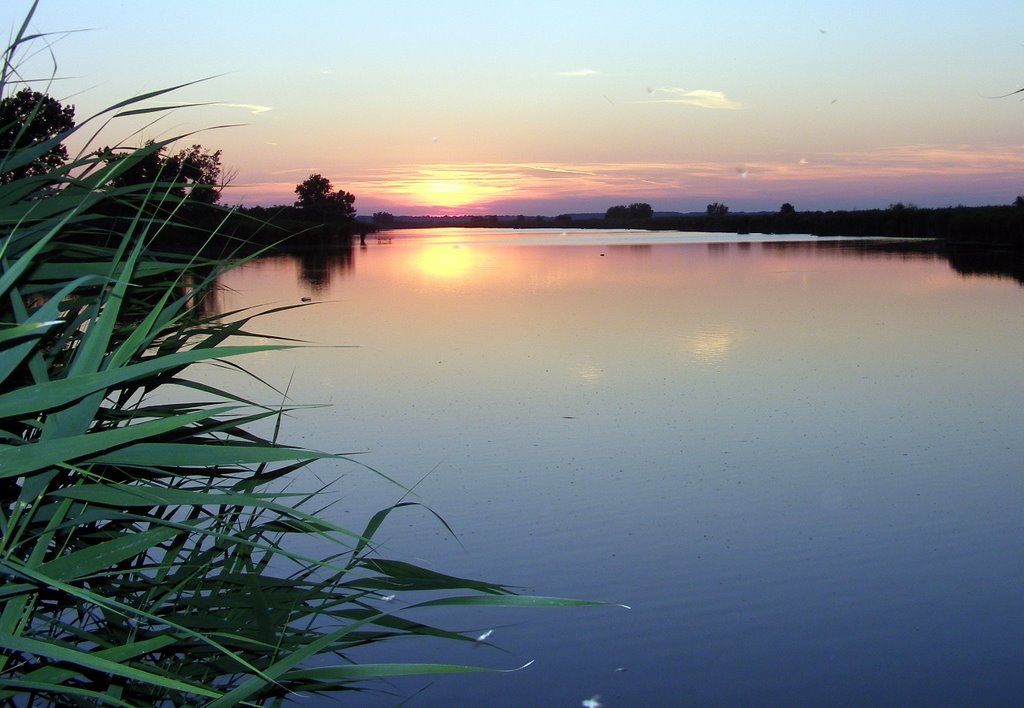 Álmodó Tisza part by tiszafoto