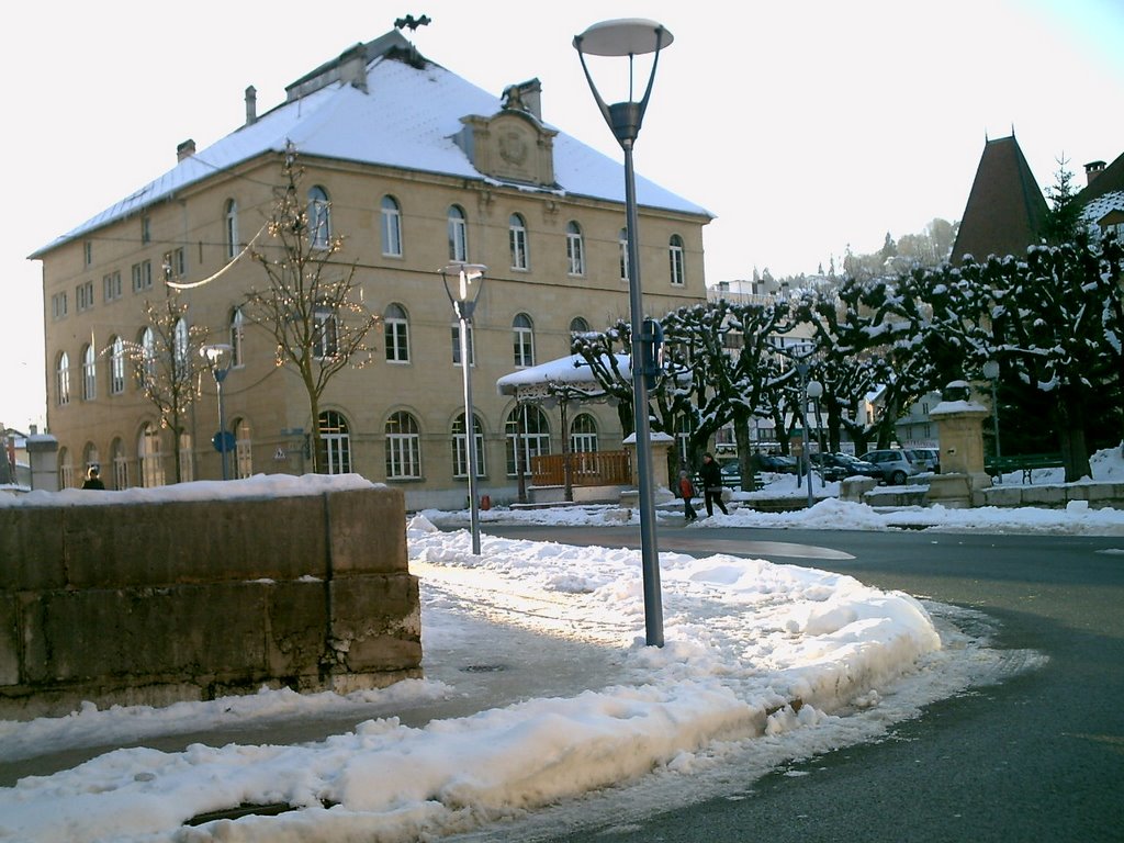 École du centre a morteau by NAVION ROBERT