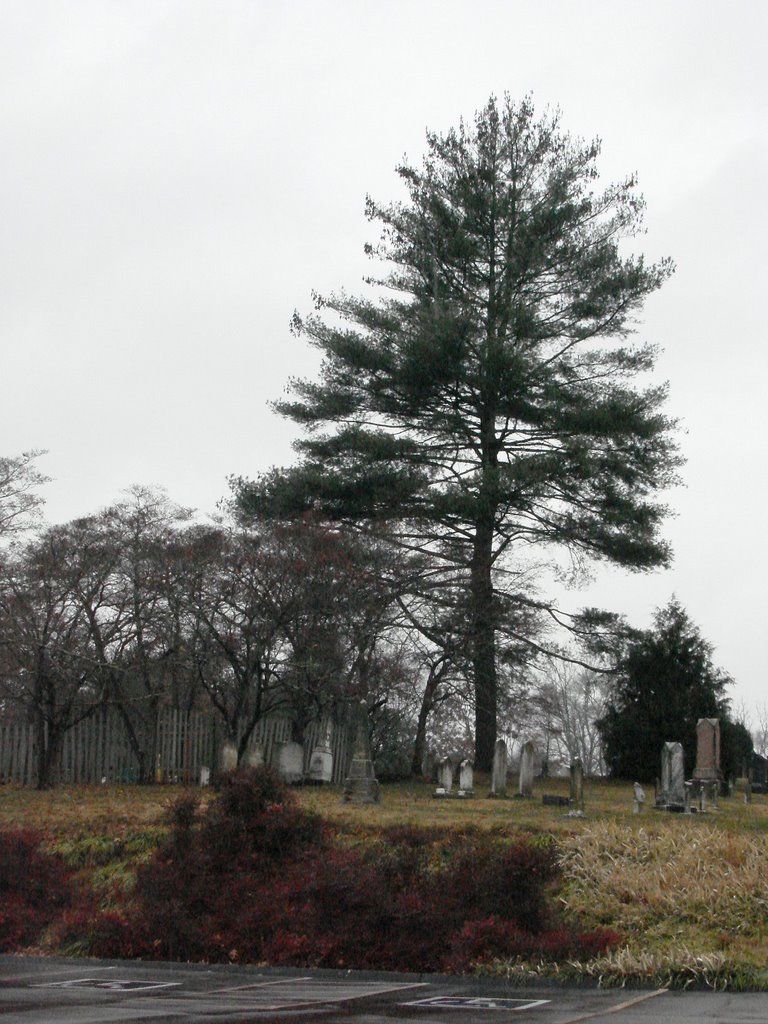 Cemetary with Tree by Jean Gregory Evans