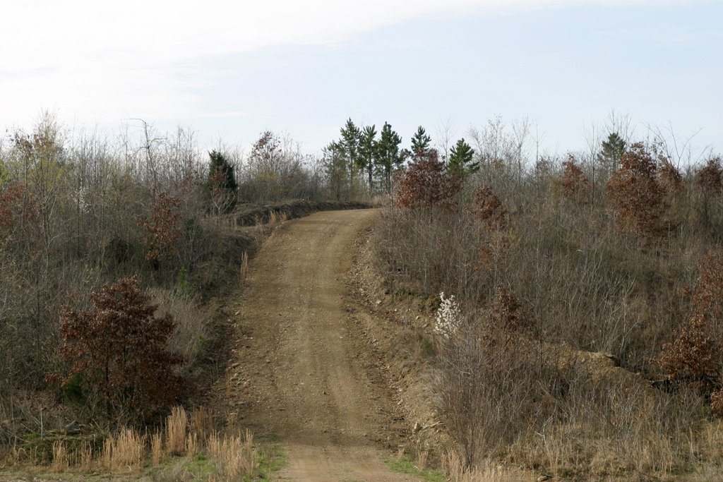 Dirt Road by Matthew Normand