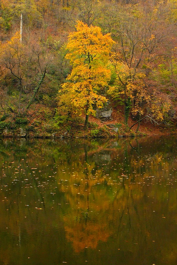 Lillafüred, Hámori-tó, őszi tükörkép (Lillafüred, Lake Hámori, autumn reflection) by Imre Éri (ériimi)