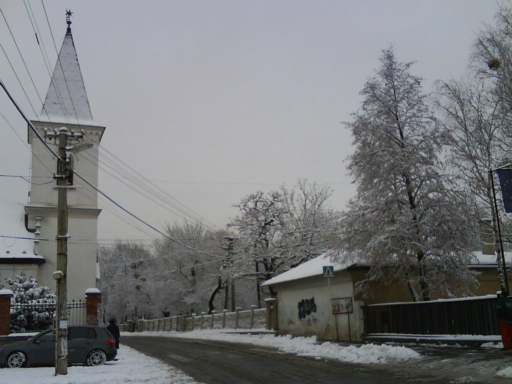 Barca's first snow 2008 by ludka08