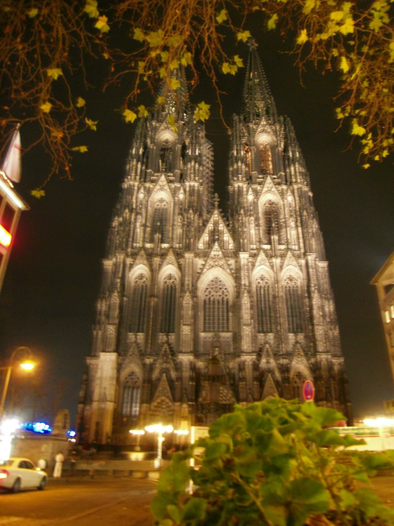 Der Dom, November 2008 by gofoto