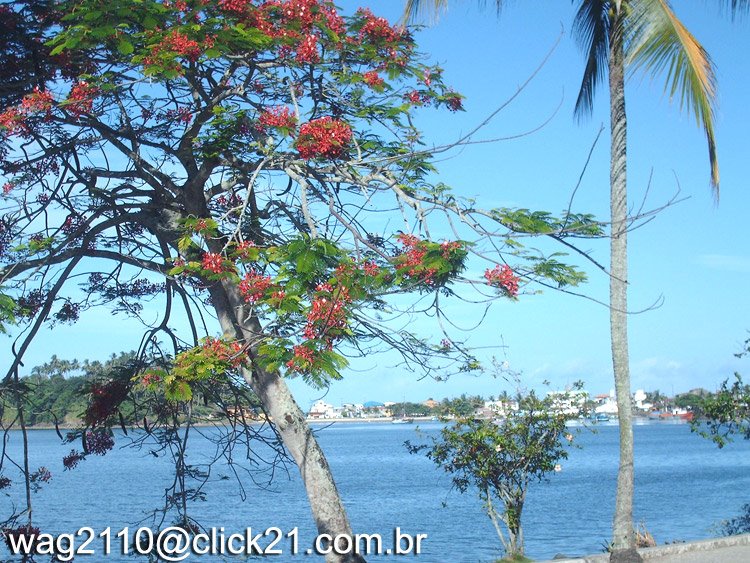 Avenida lomanto junior orla do pontal ilheus bahia brasil by wag2110